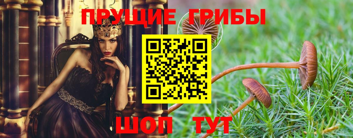 Псилоцибиновые грибы Cubensis  Вход с VPN  Лосино-Петровский 