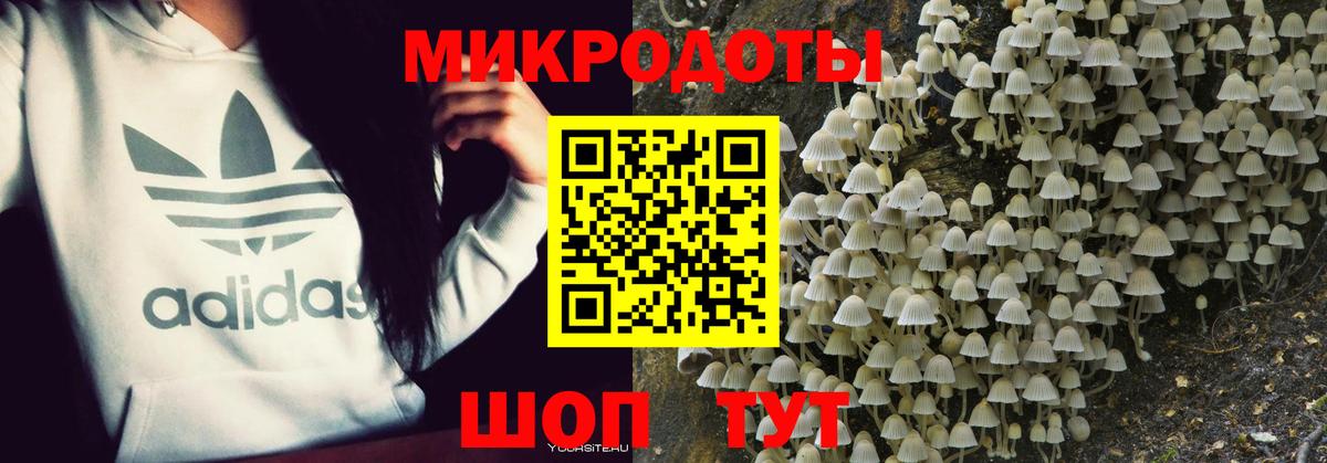 Галлюциногенные грибы GOLDEN TEACHER Лосино-Петровский